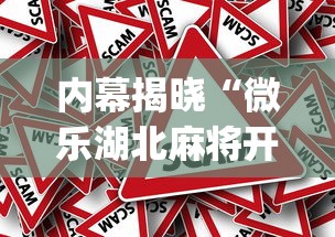 内幕揭晓“微乐湖北麻将开挂神器”(透视挂)详细用法教程