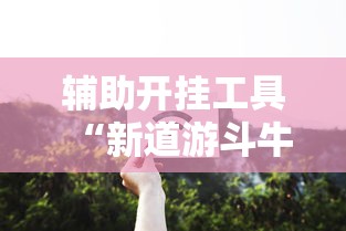 两分钟了解“手机打十三道怎么才能赢”附透视挂详细教程 