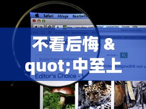 反复测试 "微乐云南麻将怎么样才能赢”详细辅助软件教程