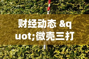 财经动态 "微壳三打哈可以开挂吗	”(透视)其实真的有挂