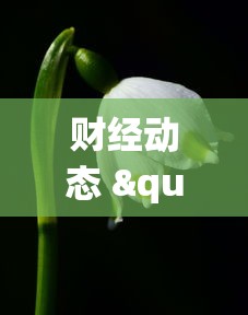 财经动态 "微壳三打哈可以开挂吗”(透视)其实真的有挂