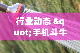 行业动态 "手机斗牛能不能开挂!专业师傅带你一起了解(确实有挂)